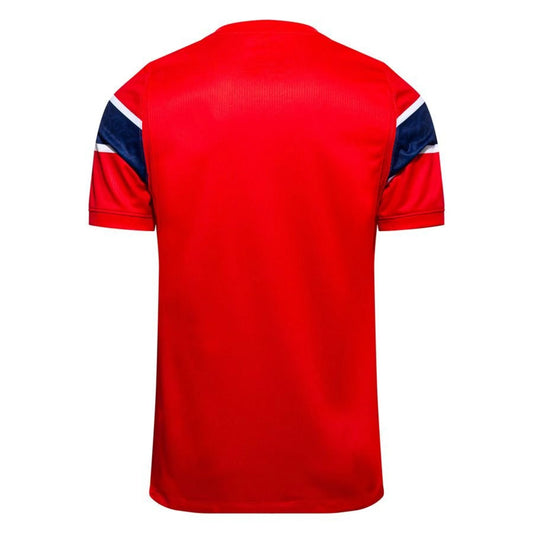 back view of the Nike Norway 2026 World Cup Home Red Shirt