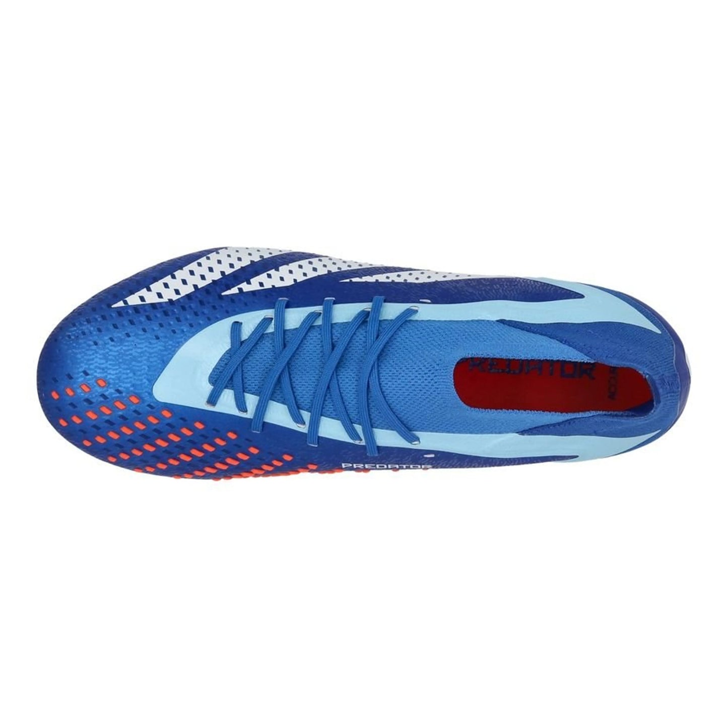 top view of the adidas Predator Accuracy .1 FG "Marinerush" pack in a Blue/White colorway