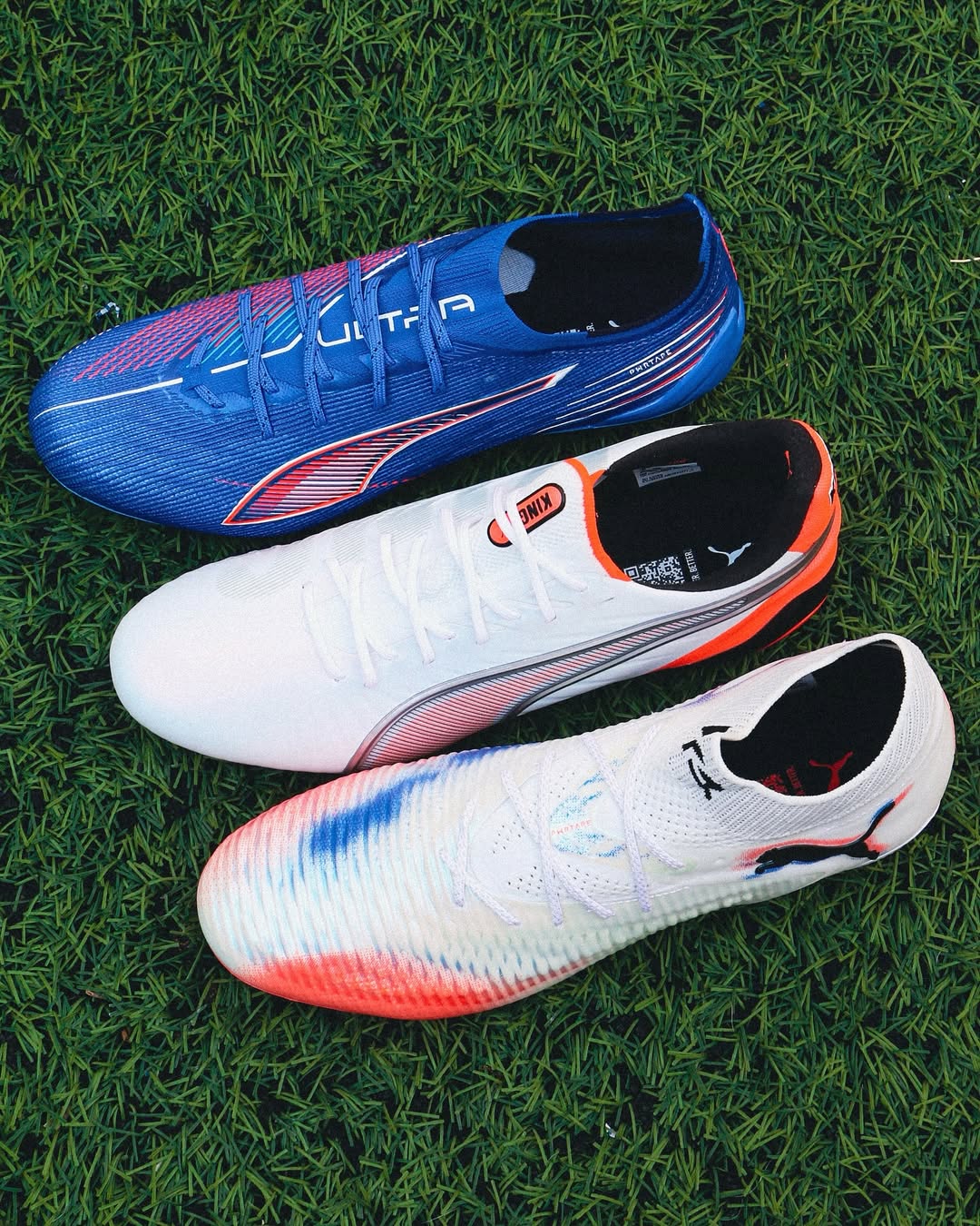 Puma "Untamed" Pack