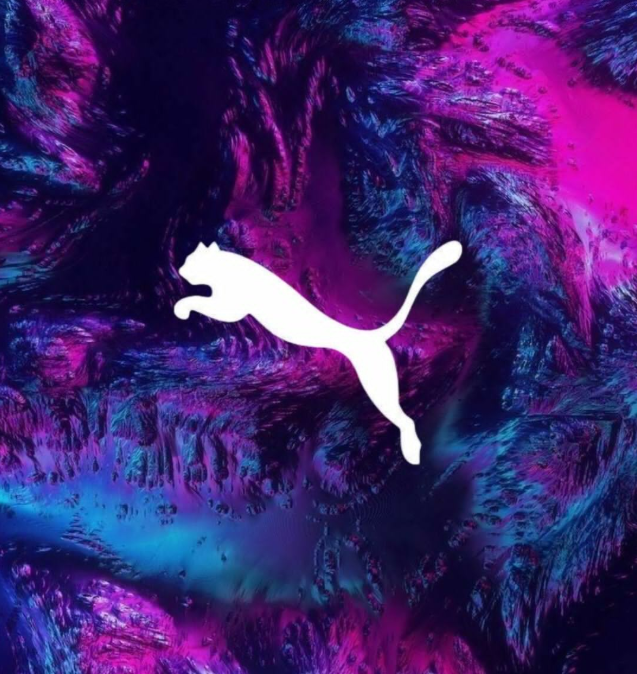 Puma Football Shoes
