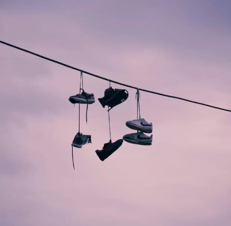 Sneakers Collection