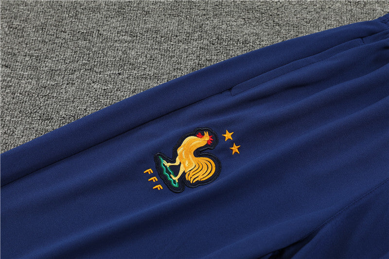 France 24/25 Tracksuit - Yellow