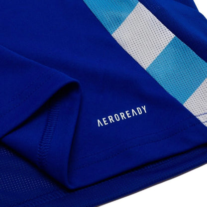 Argentina 2024 Away Jersey