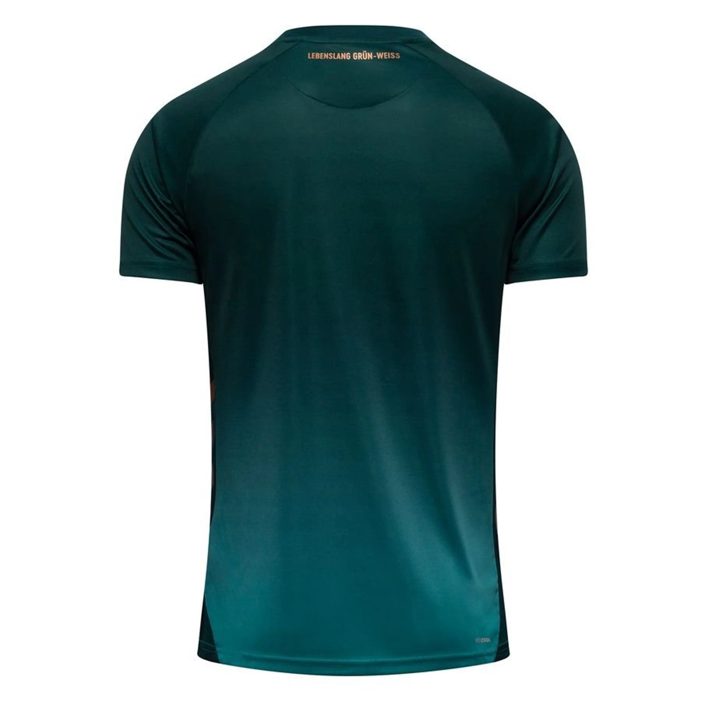 Werder Bremen 25/26 Third Jersey
