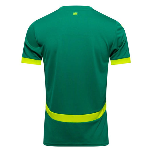 Senegal 24/25 Away Jersey