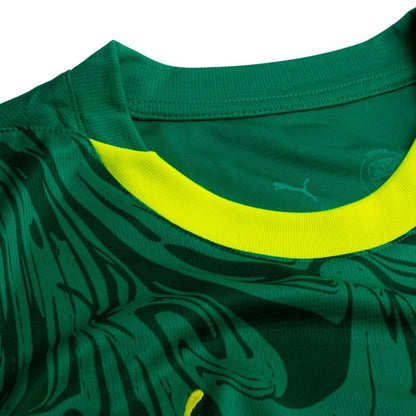 Senegal 24/25 Away Jersey