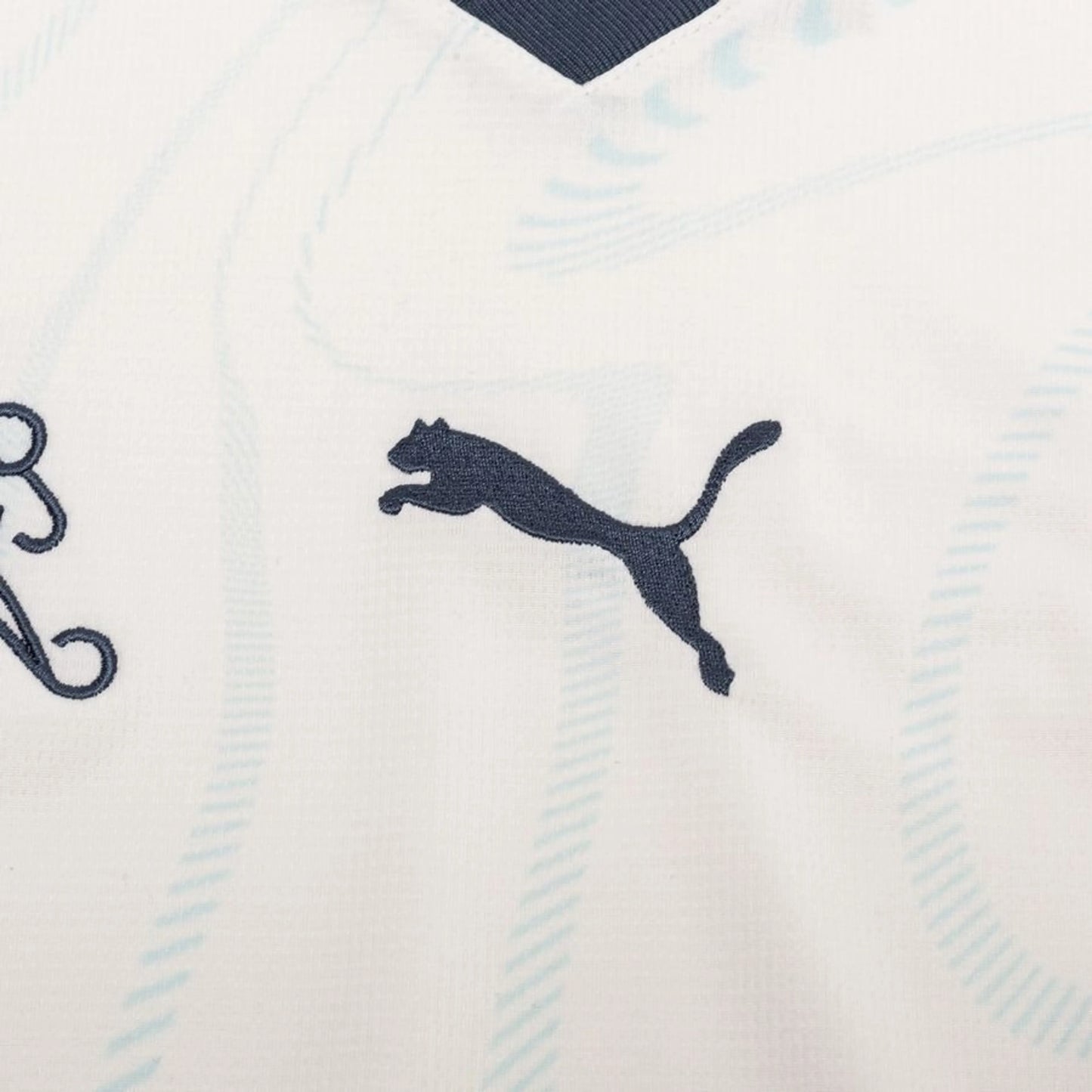 Switzerland 24/25 Away Jersey