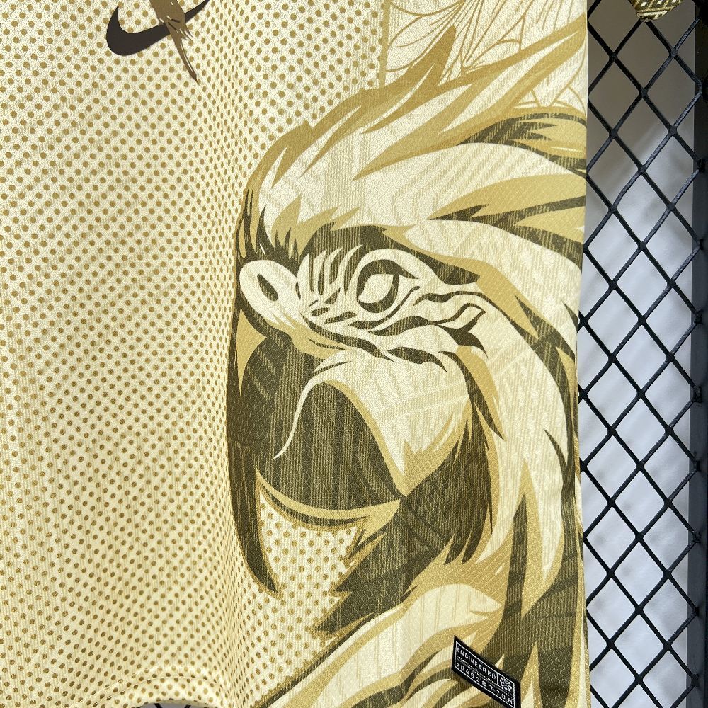 Brazil 25/26 Special Edition Jersey