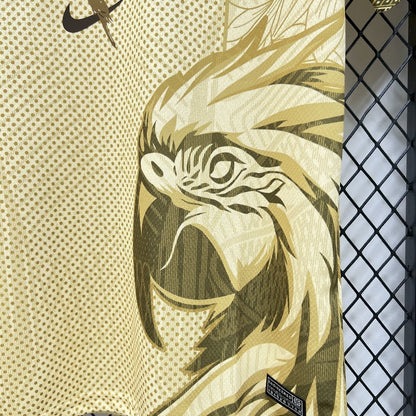 Brazil 25/26 Special Edition Jersey