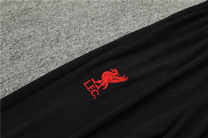 Liverpool 24/25 Tracksuit - Grey