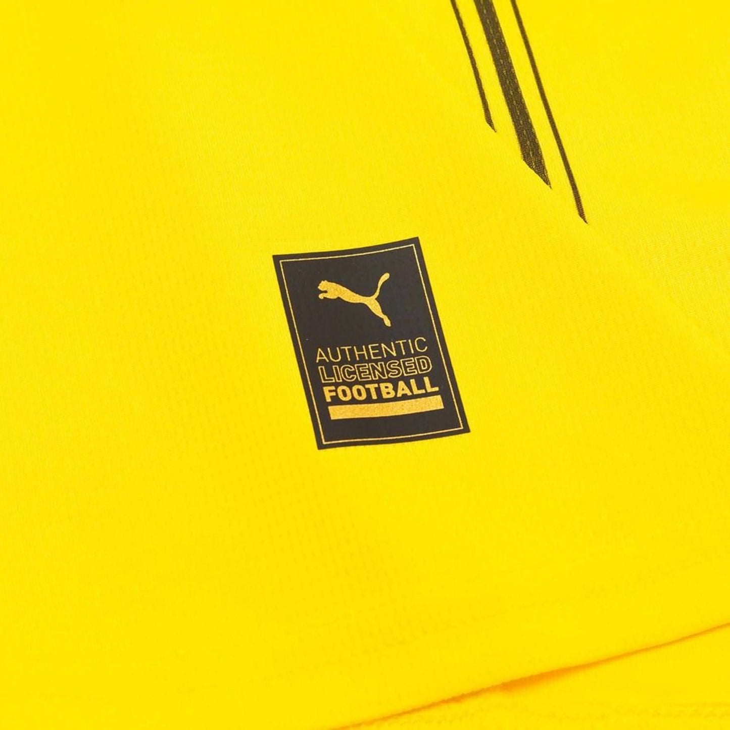 BVB Dortmund 24/25 Home Jersey