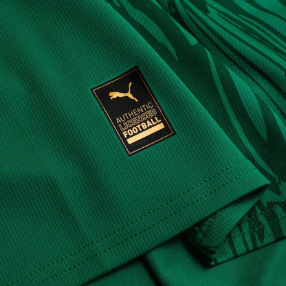 Senegal 24/25 Away Jersey
