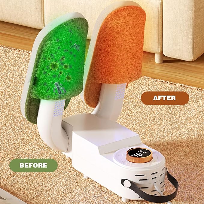 Smart Shoe Dryer