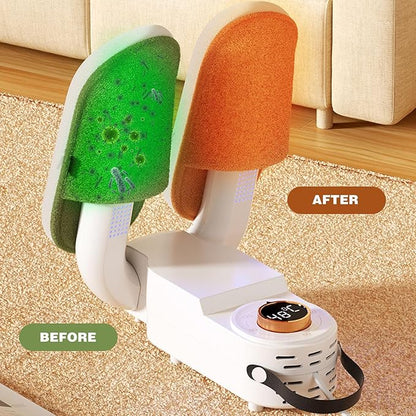 Smart Shoe Dryer
