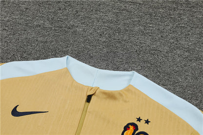 France 24/25 Tracksuit - Yellow