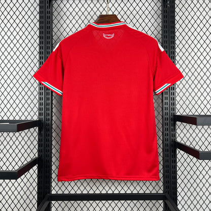back view of the Adidas Wales 2026 World Cup Home Jersey