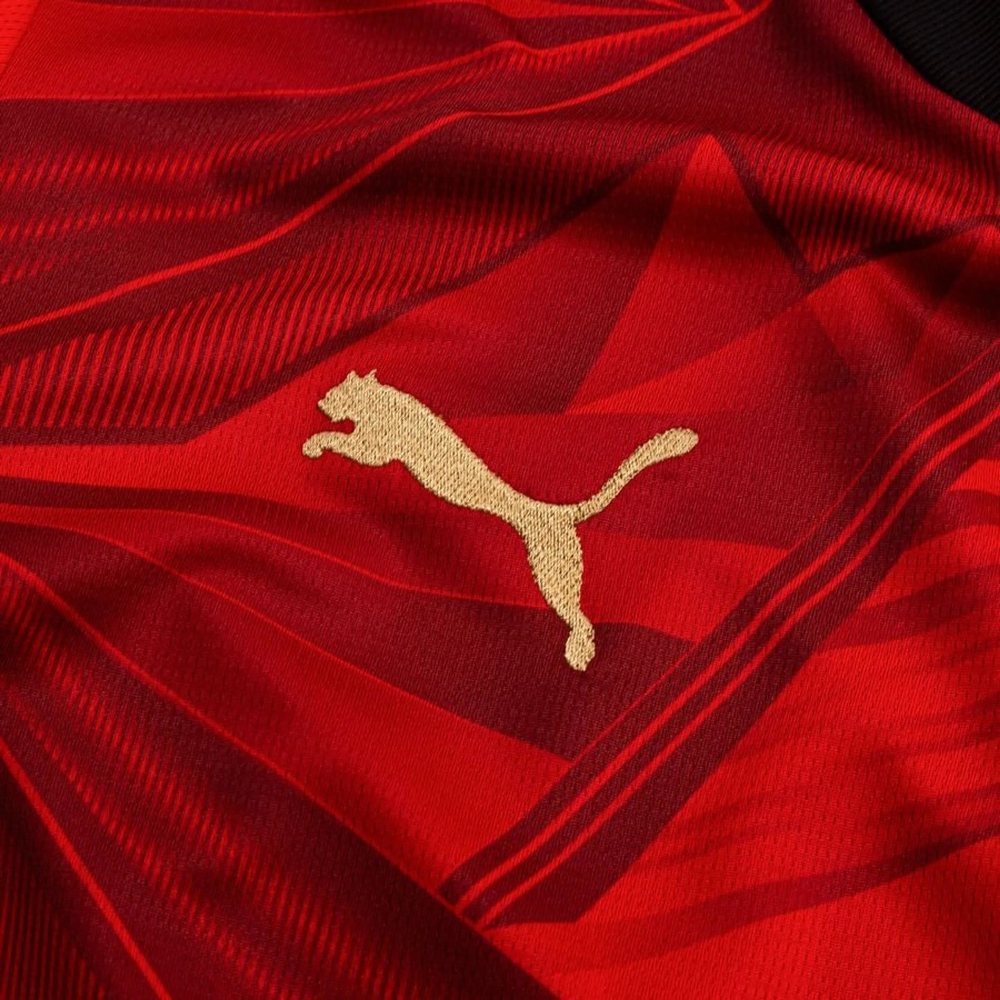 PUMA logo view on the Egypt World Cup 2026 Home Shirt