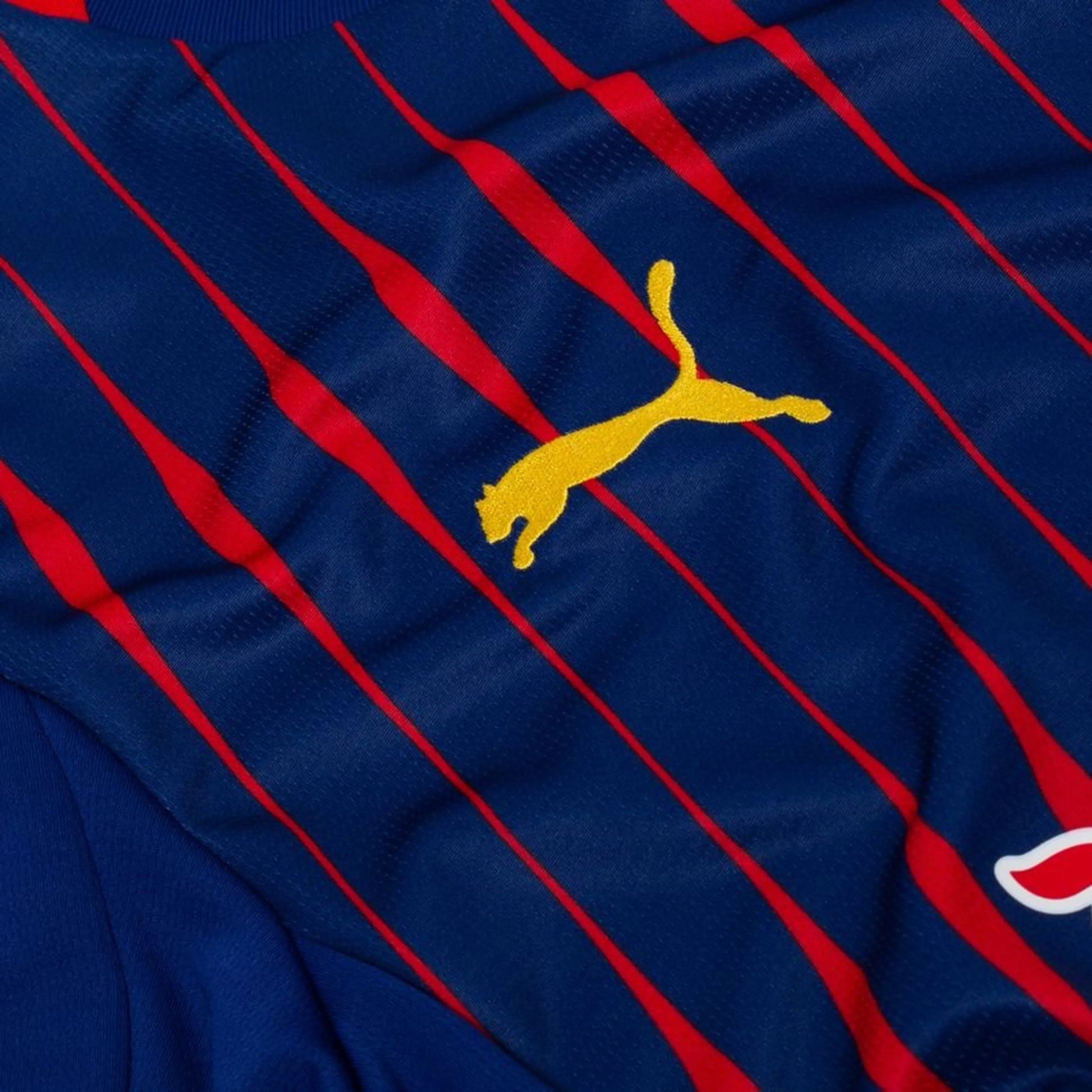 Puma logo view on the RB Leipzig 2025/26 Away Blue Shirt