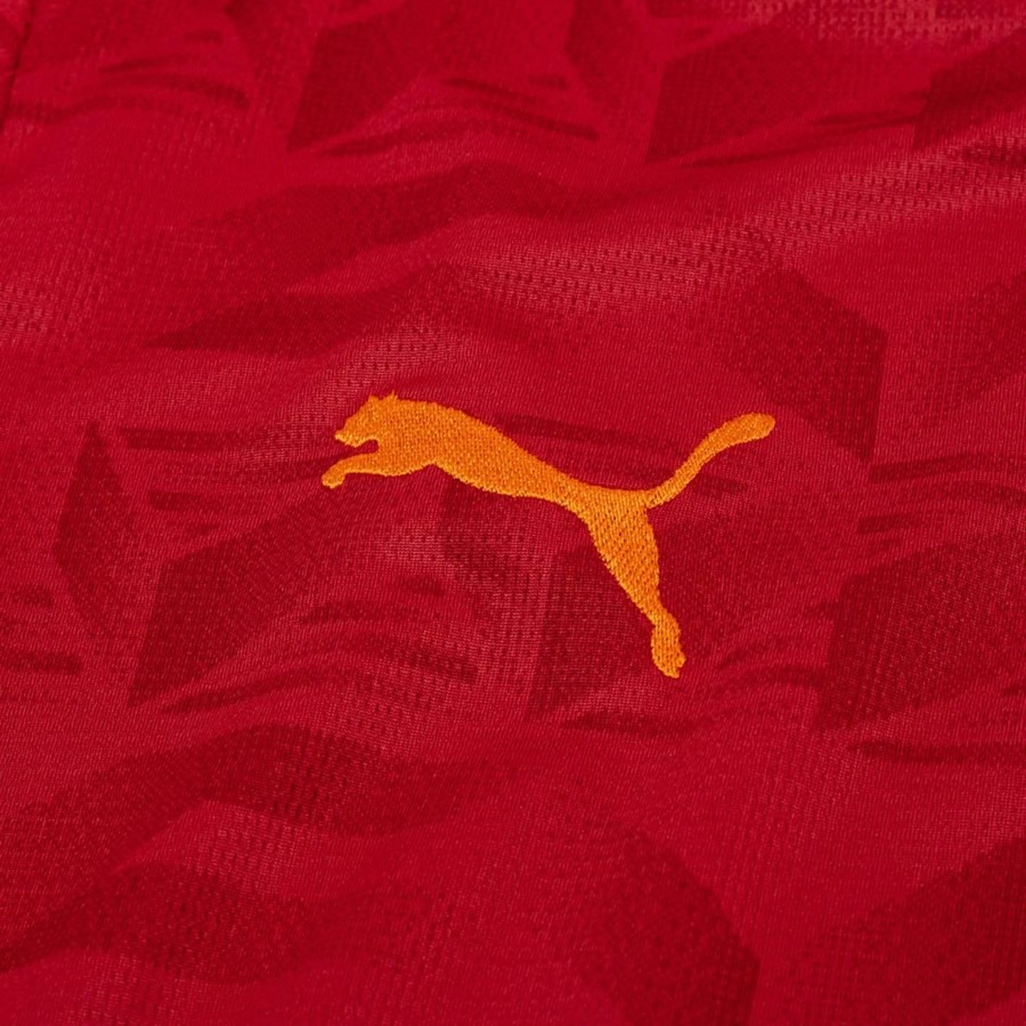 Puma logo view on the Valencia CF 2025/26 Away Red Jersey