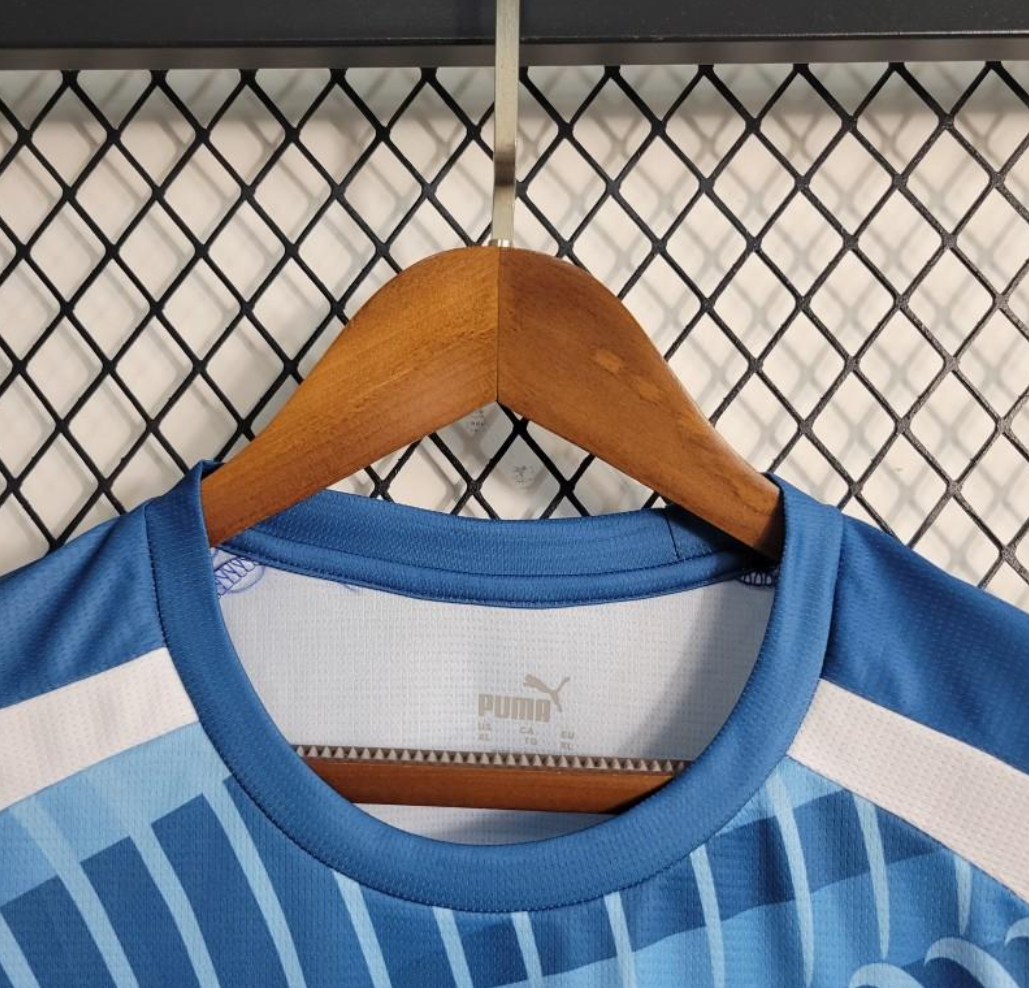Manchester city 23/24 training blue shirt