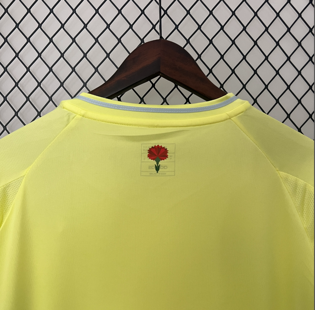 Spain 2024 away lime shirt