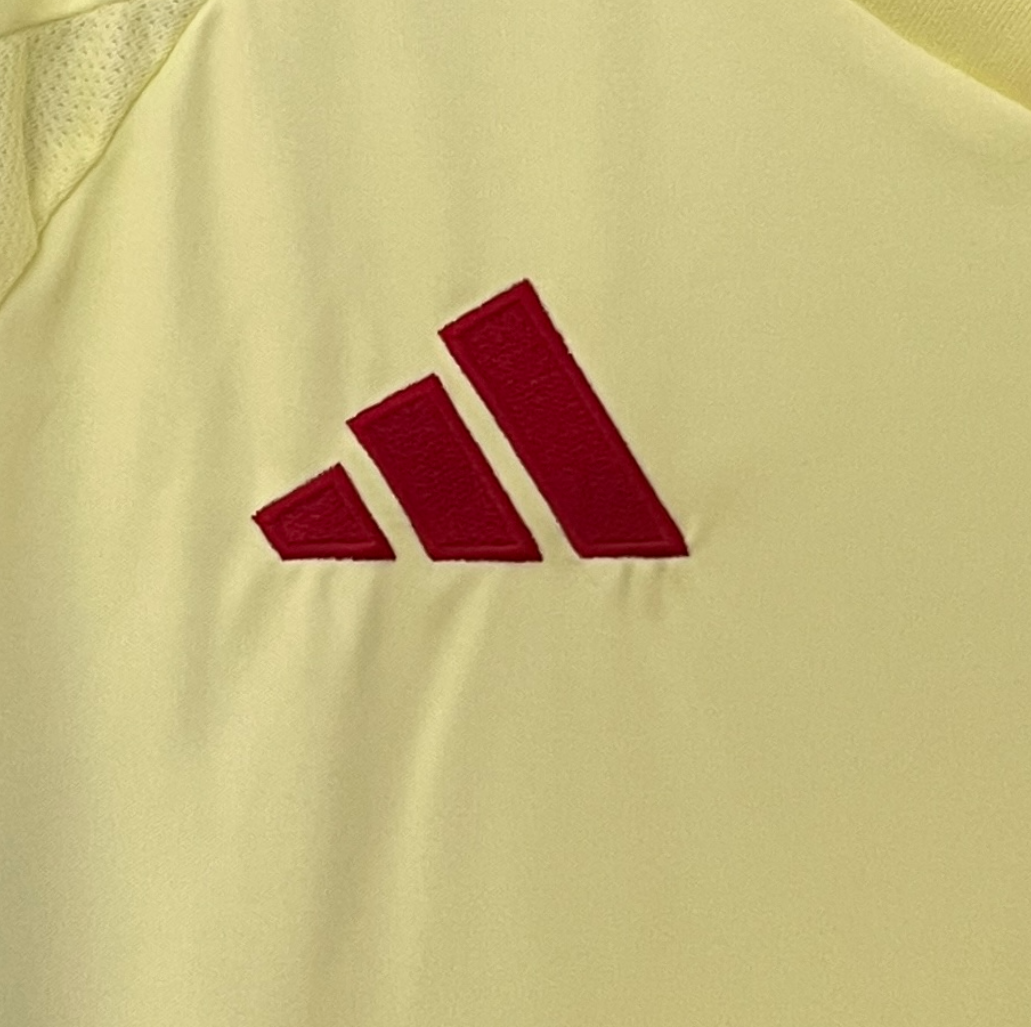 Spain 2024 away lime shirt