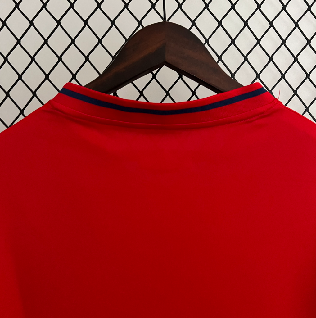 Spain 2010 home red shirt