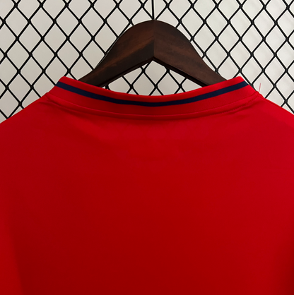 Spain 2010 home red shirt