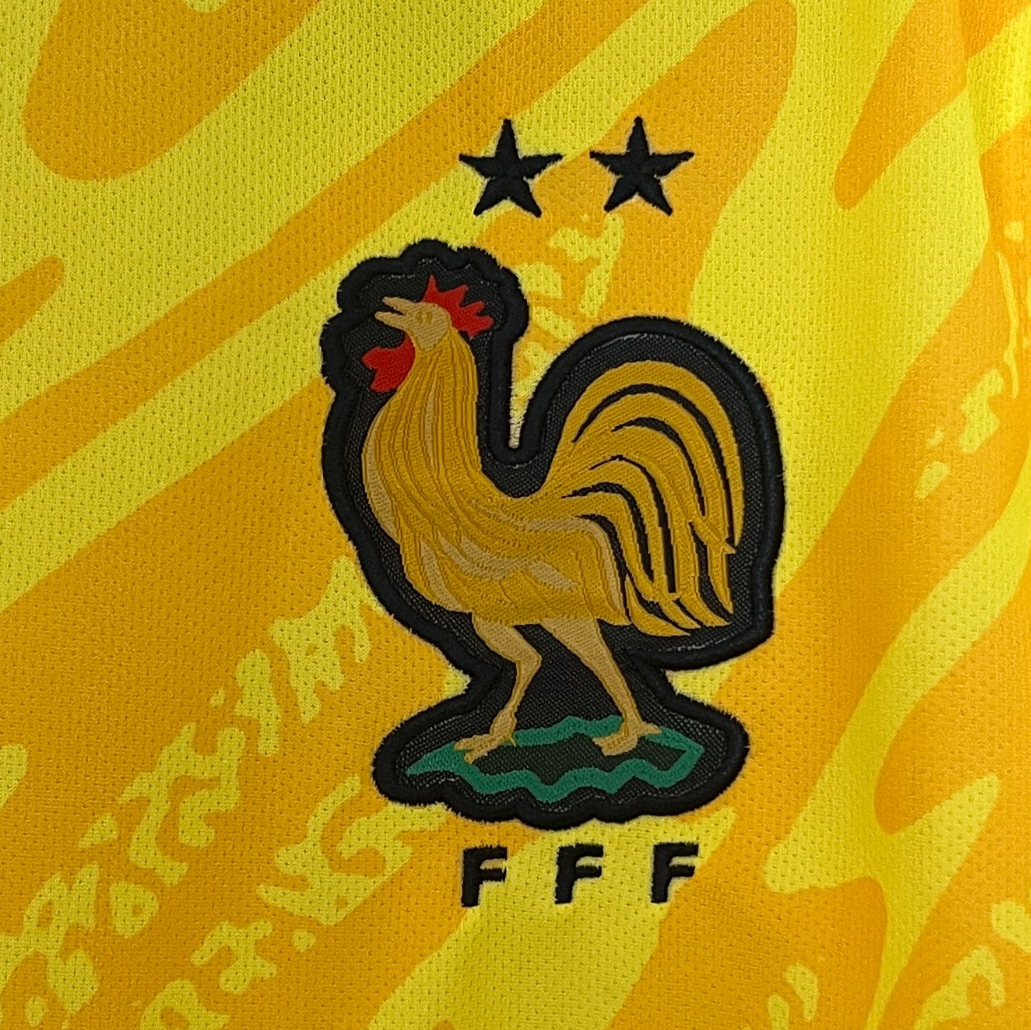 France 2024 goalkeeper yellow shirt