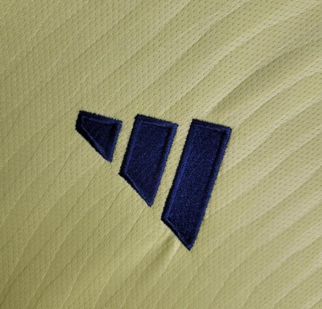 Sweden 2024 home yellow shirt