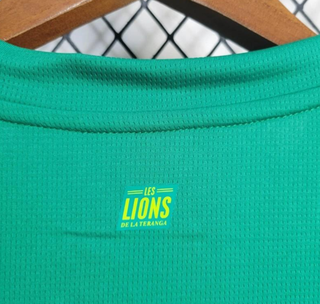 official Senegal 24/25 Away Green Football Short Sleeve Jersey Designed By Puma
