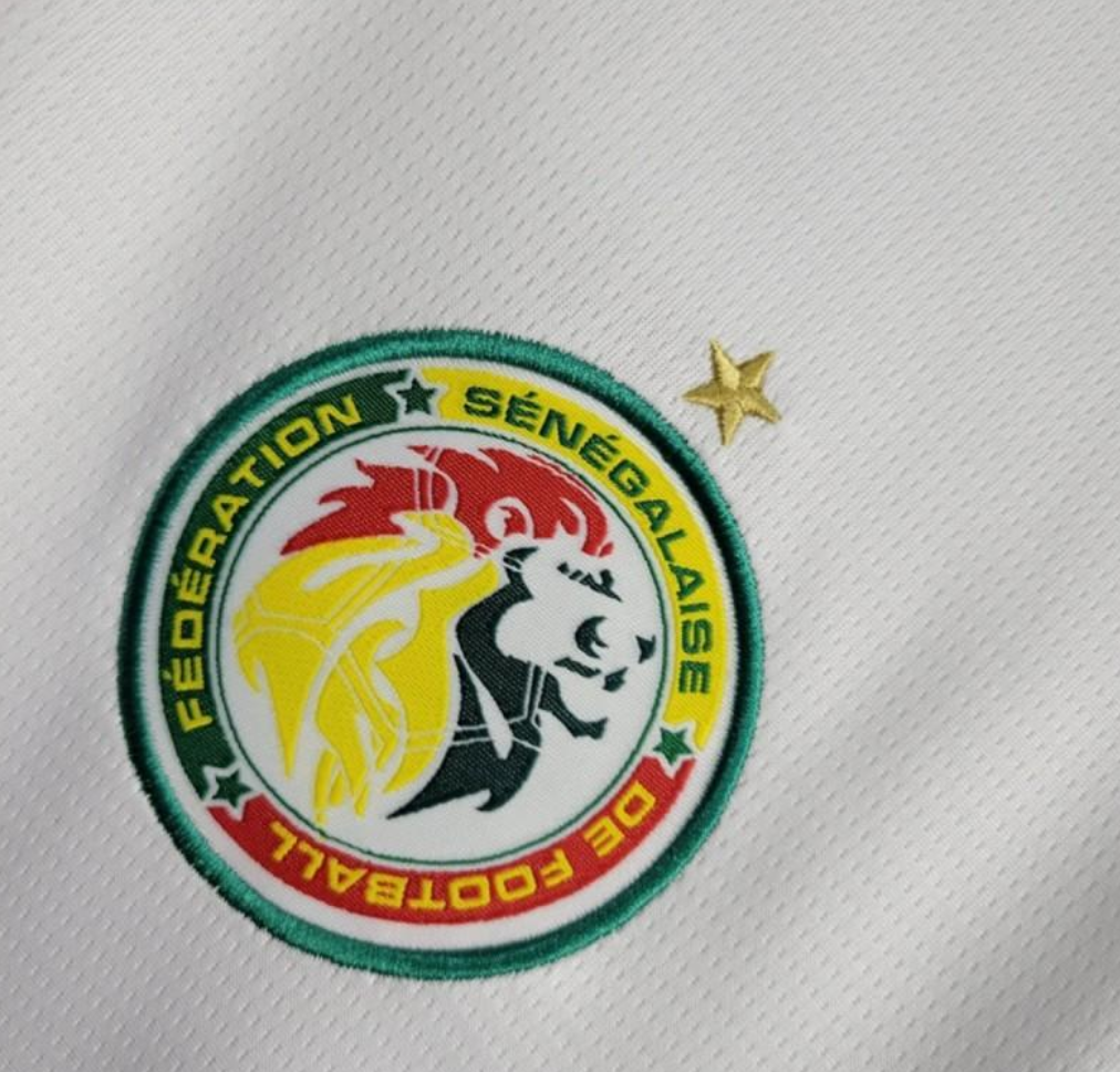 official Senegal 24/25 Home White Football Short Sleeve Jersey Designed By Puma