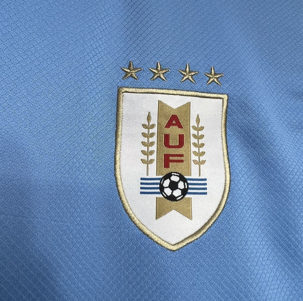 official Uruguay 24/25 Home Blue Football Short Sleeve Jersey Designed By Nike