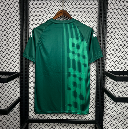 official Italy 2024 Pre-Match green football Jersey by Adidas