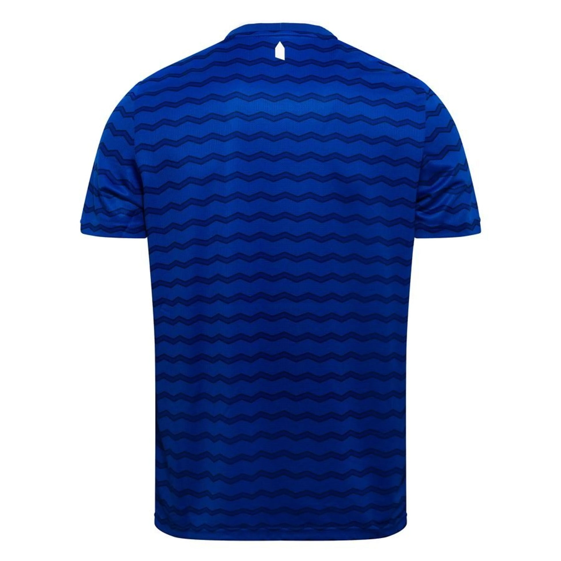 back view of the Castore Everton 2025/26 Home Blue Shirt