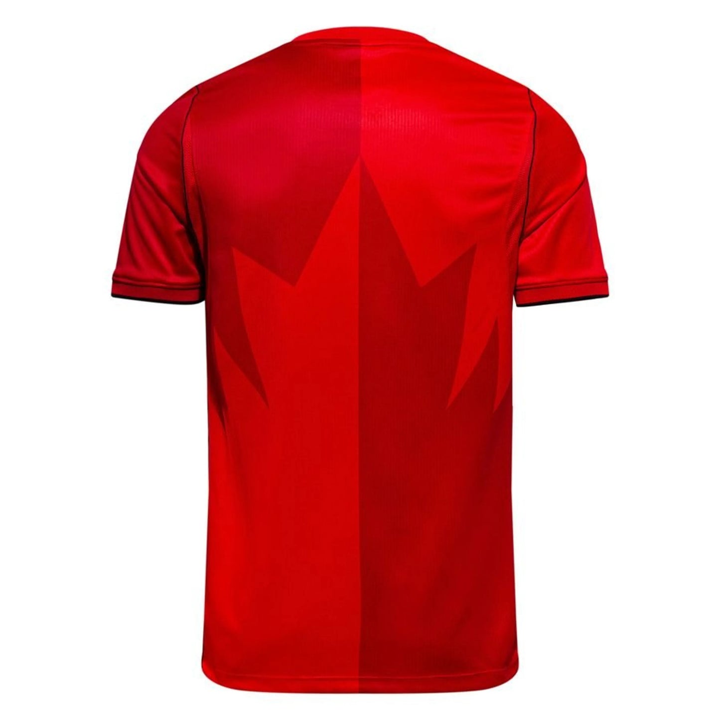 back view of the Nike Canada World Cup 2026 Home Red Shirt