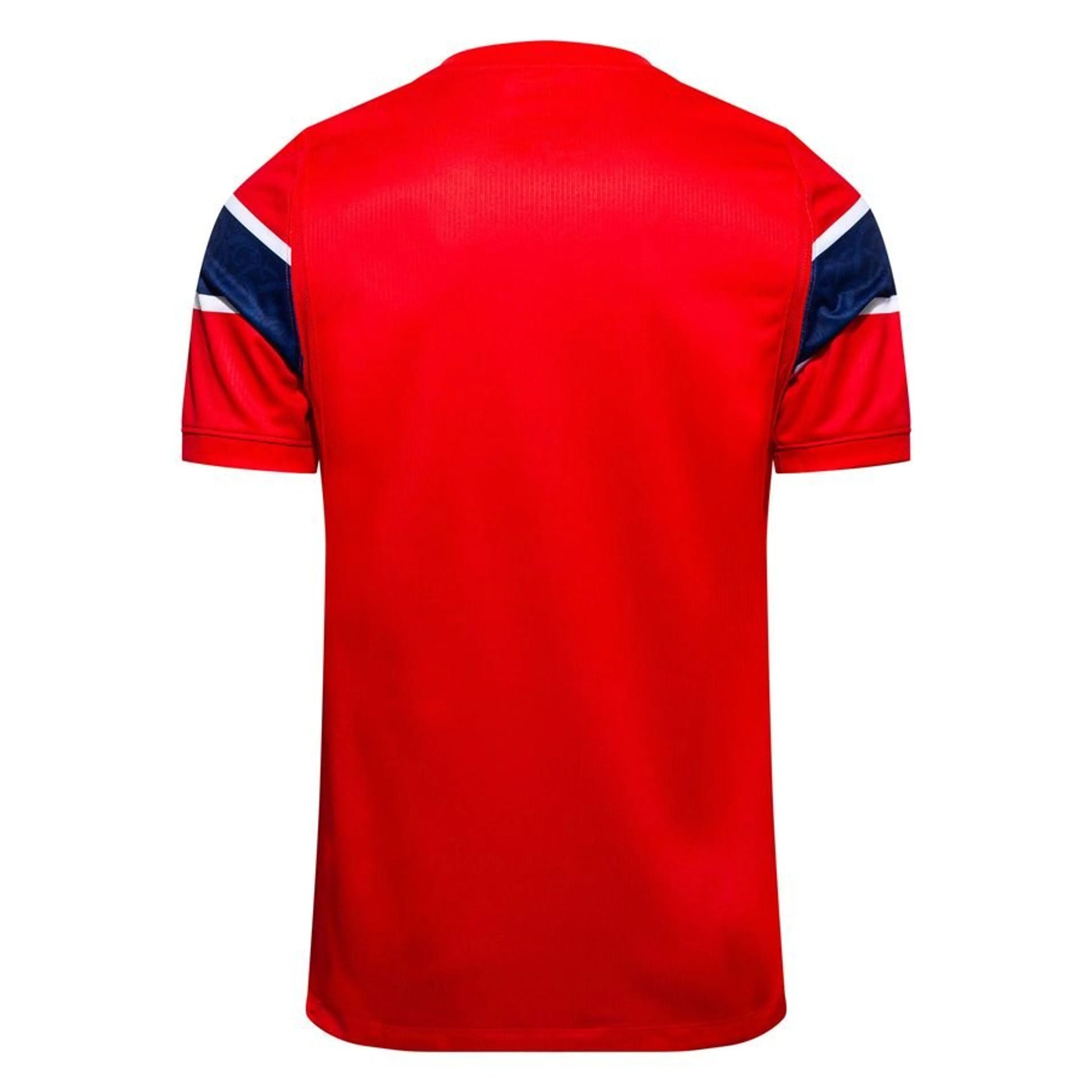back view of the Nike Norway 2026 World Cup Home Red Shirt