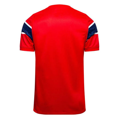 back view of the Nike Norway 2026 World Cup Home Red Shirt