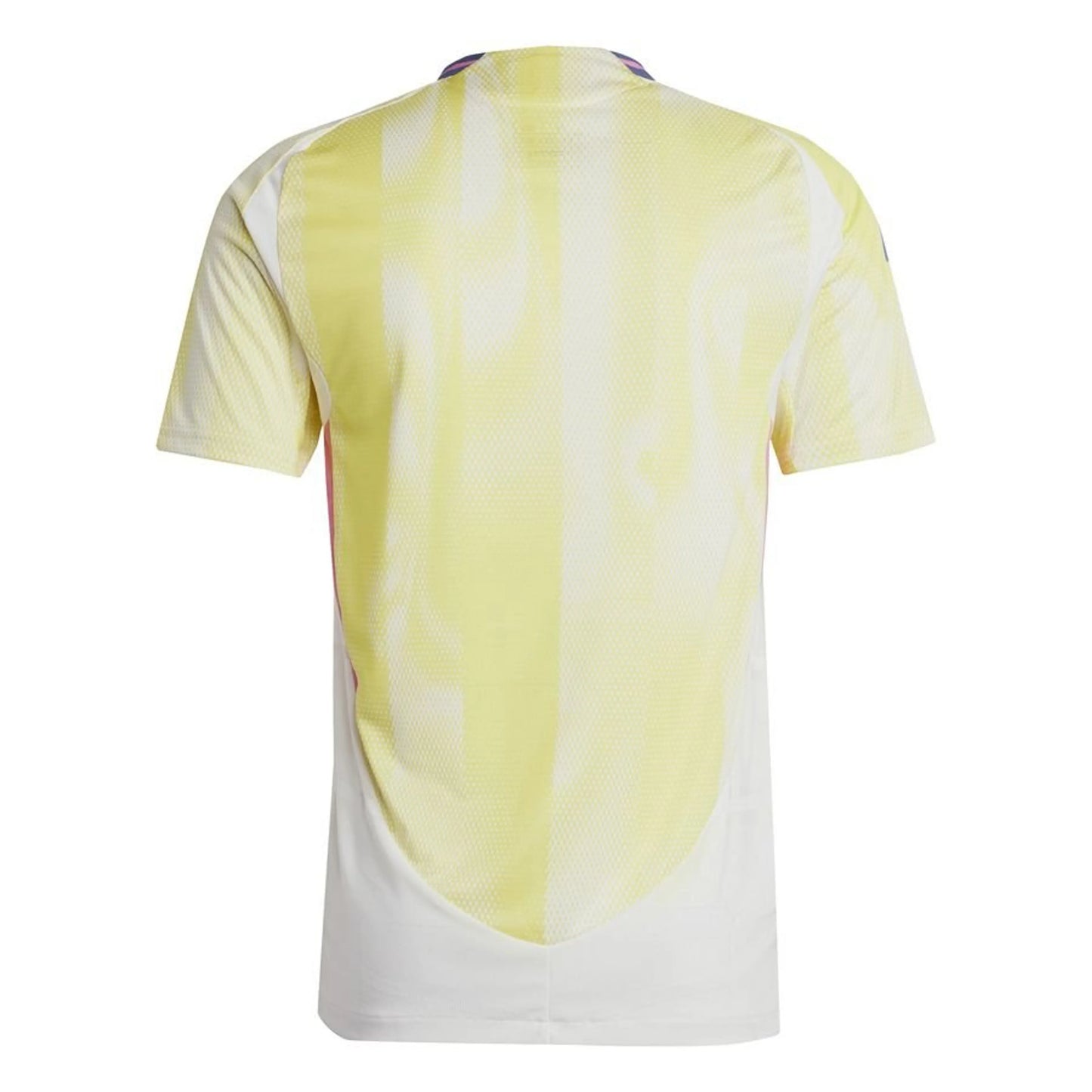 back view of the adidas Juventus Away Shirt 2024/25 