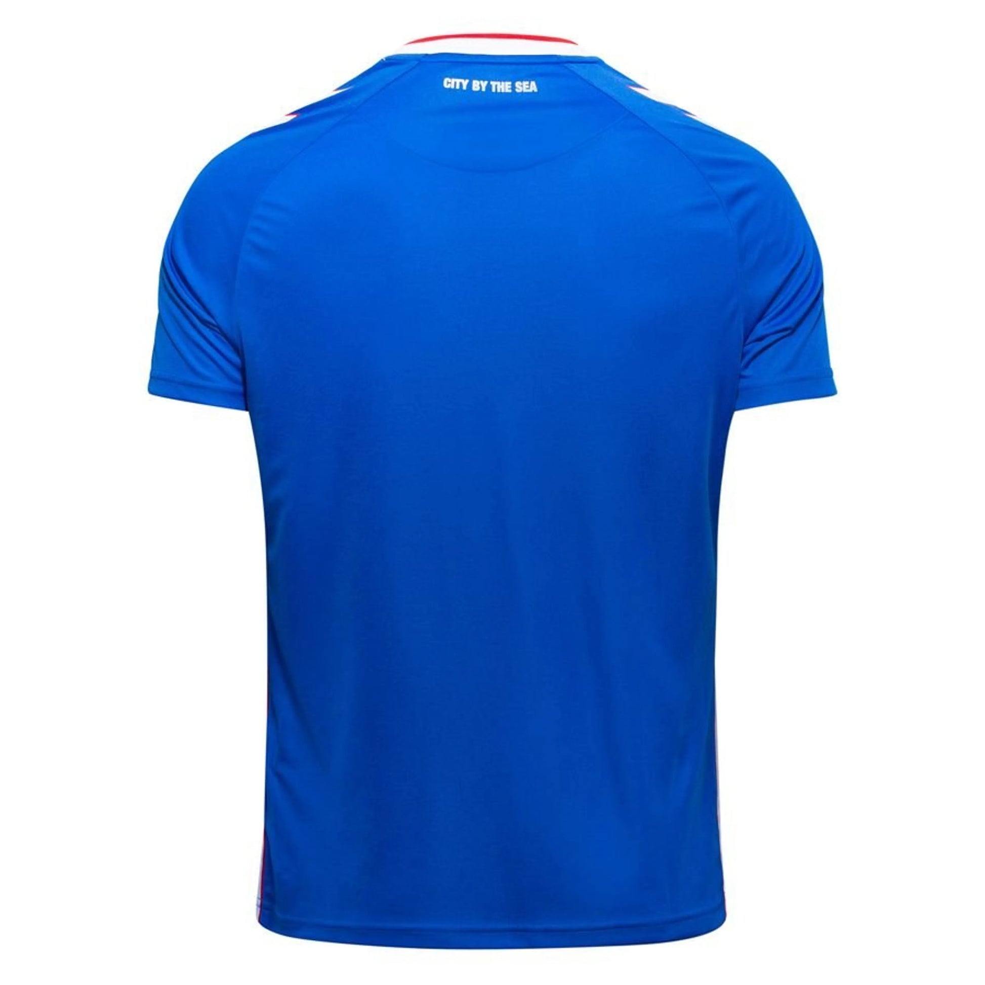 back view of the hummel Sunderland AFC Away Shirt 2025/26