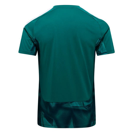 back view of the adidas Germany 2026 World Cup Goalkeeper Jersey in Green