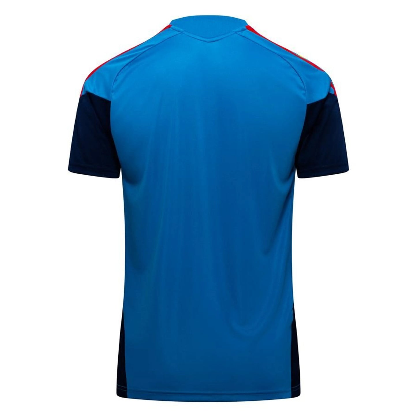 back view of the adidas Spain 2026 World Cup Training T-Shirt