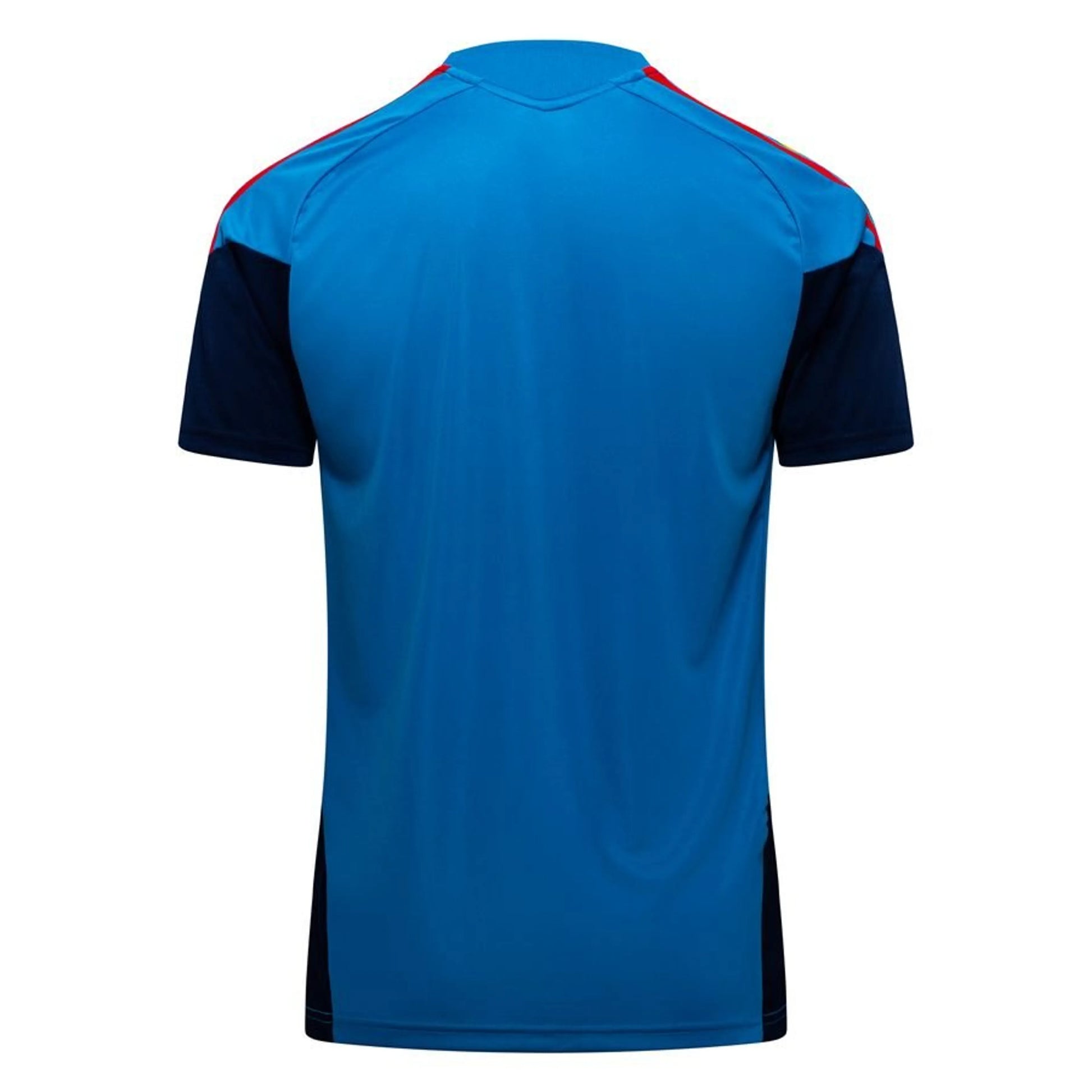 back view of the adidas Spain 2026 World Cup Training T-Shirt