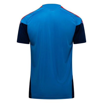 back view of the adidas Spain 2026 World Cup Training T-Shirt