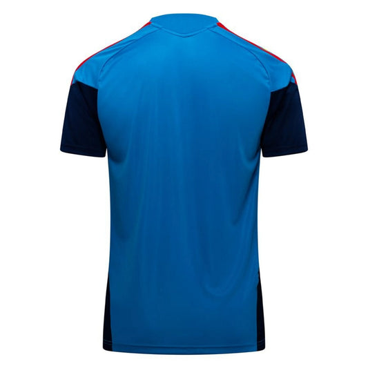 back view of the adidas Spain 2026 World Cup Training T-Shirt