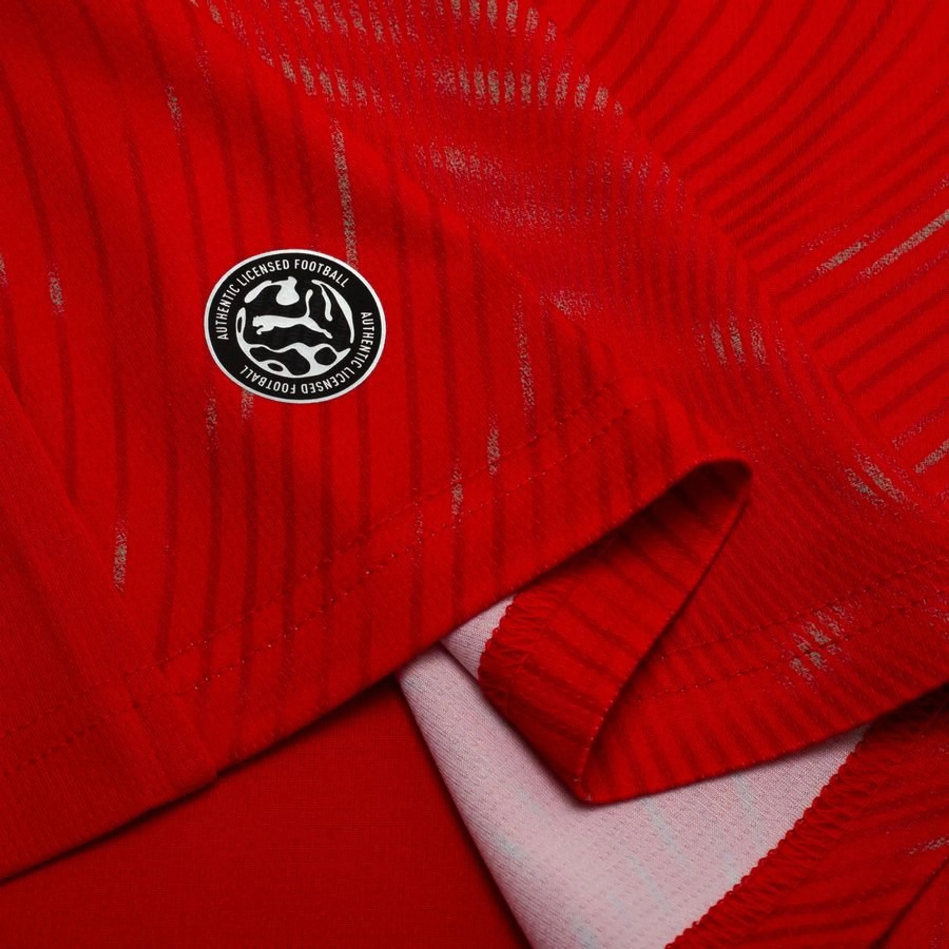 bottom left view PUMA Switzerland 2026 World Cup Home Shirt