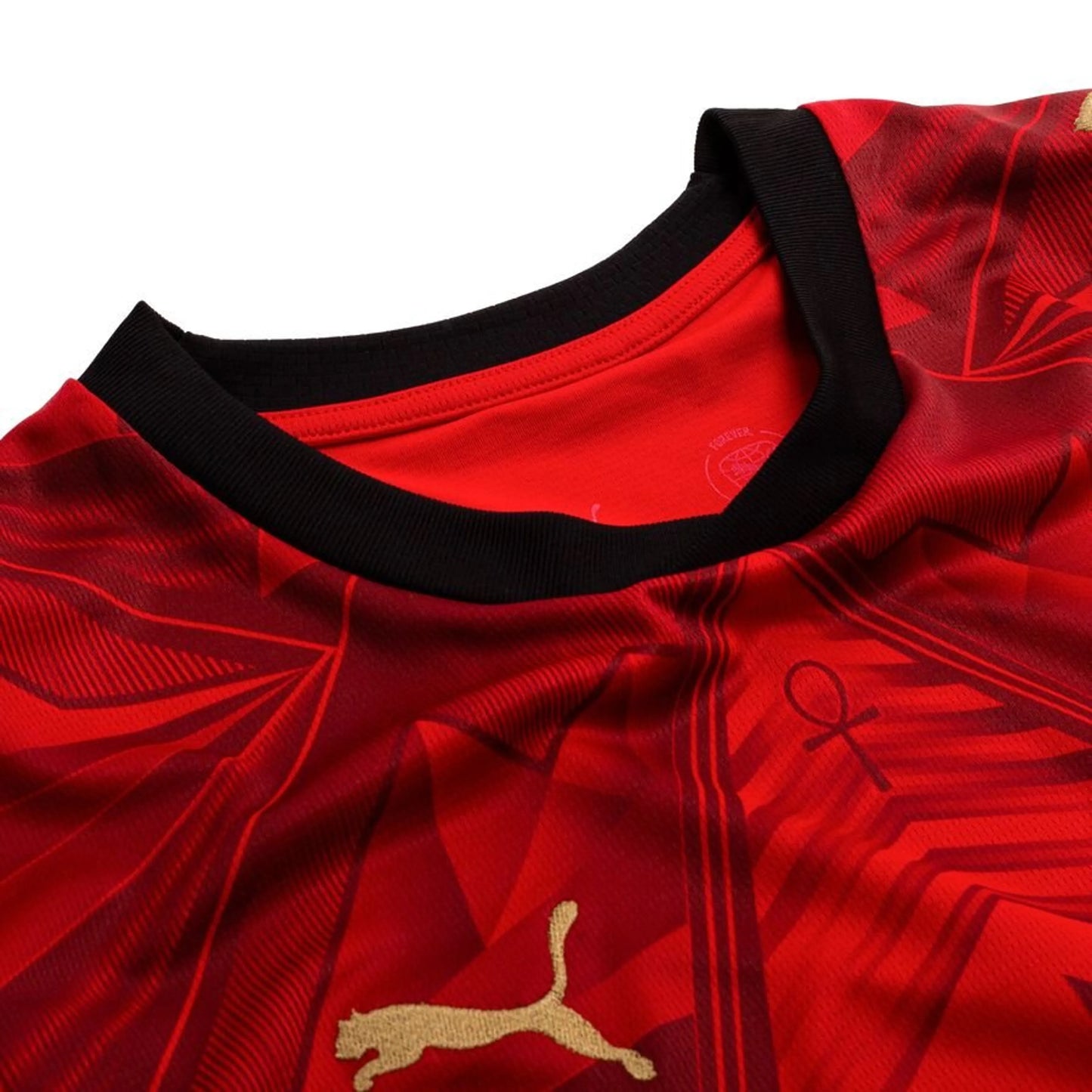 neck view of the PUMA Egypt World Cup 2026 Home Shirt