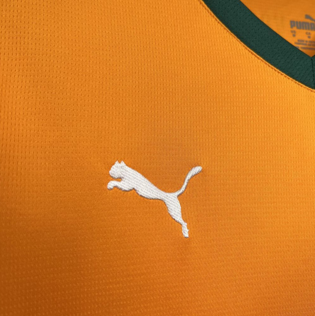 official Valencia CF 2024/25 Third Jersey