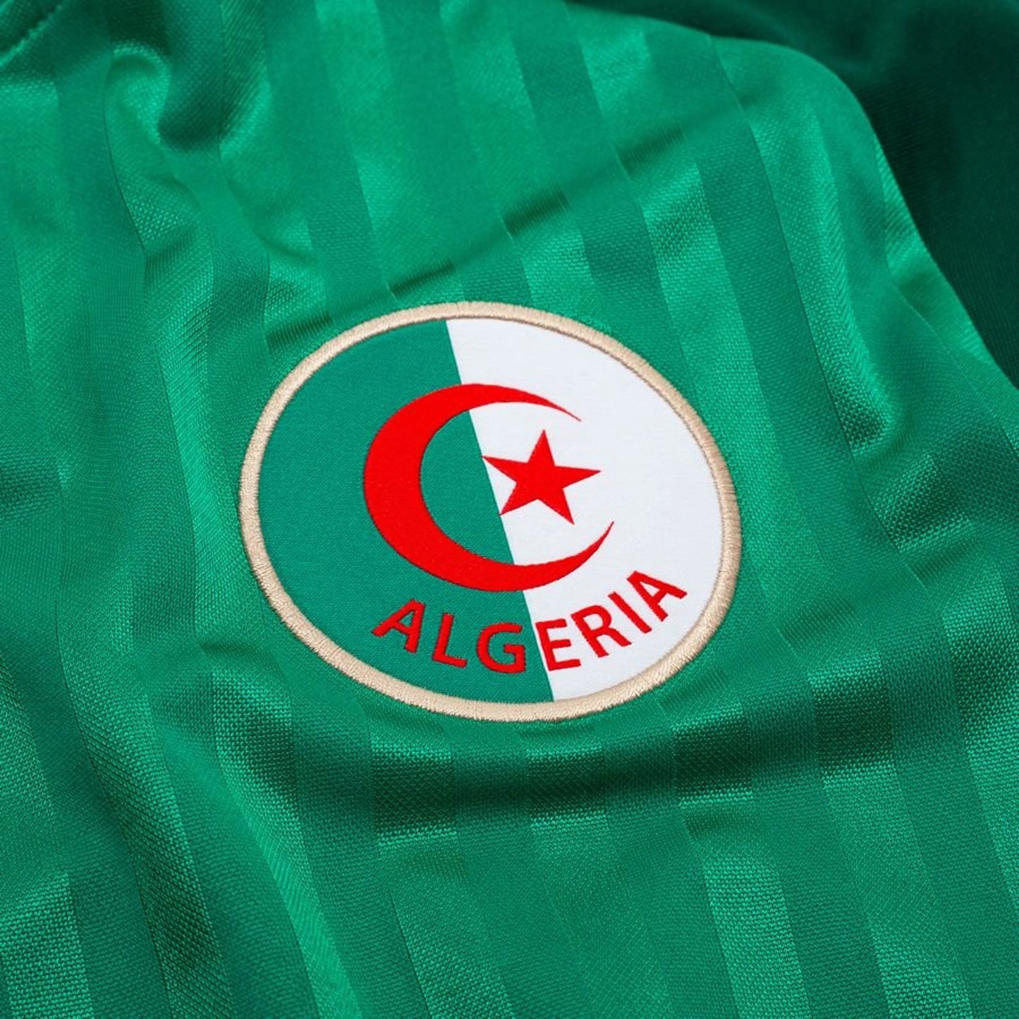 team logo view on the adidas Algeria World Cup 2026 Away Green Shirt