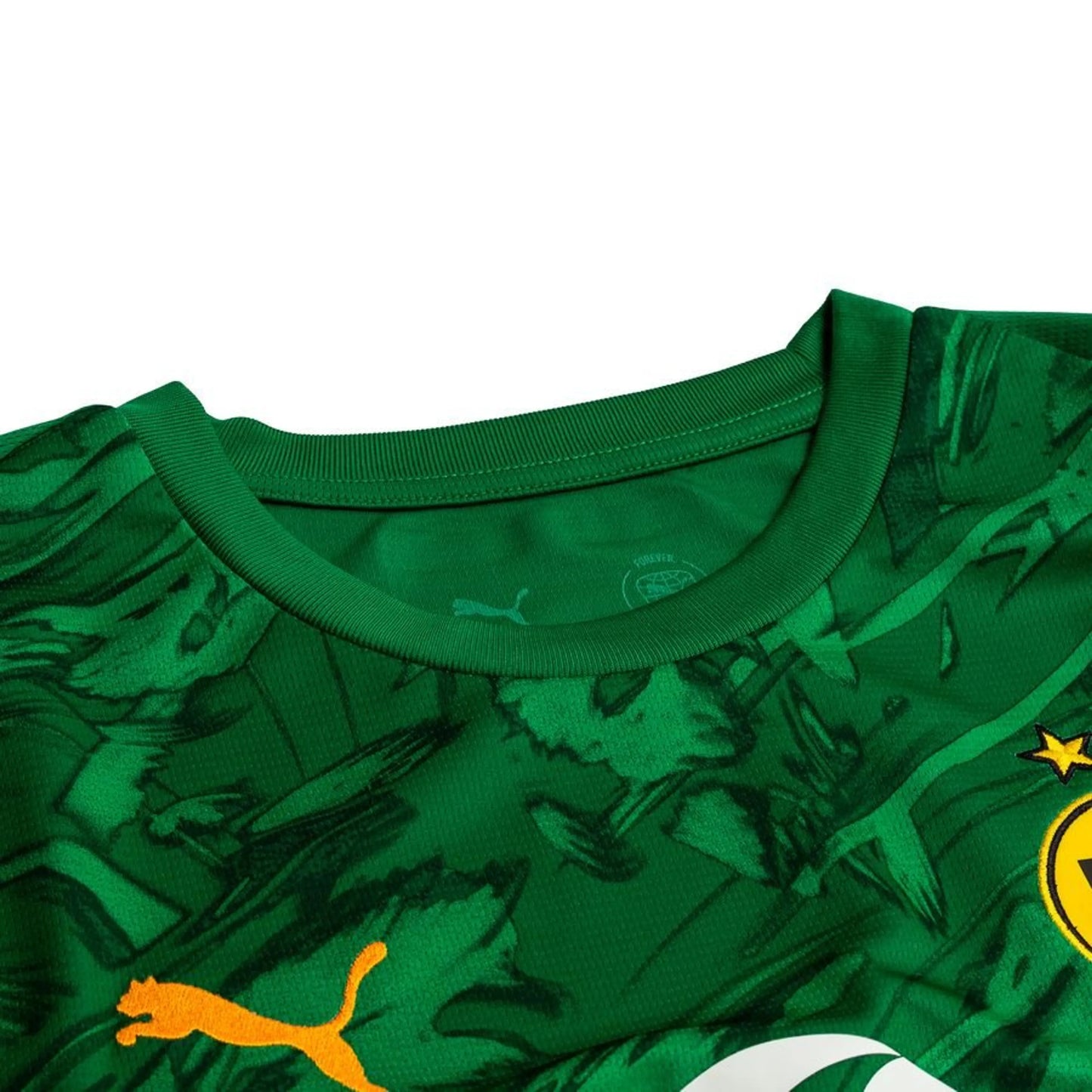 top neck view of the PUMA Borussia 2025/26 Goalkeeper Shirt in Green and Black